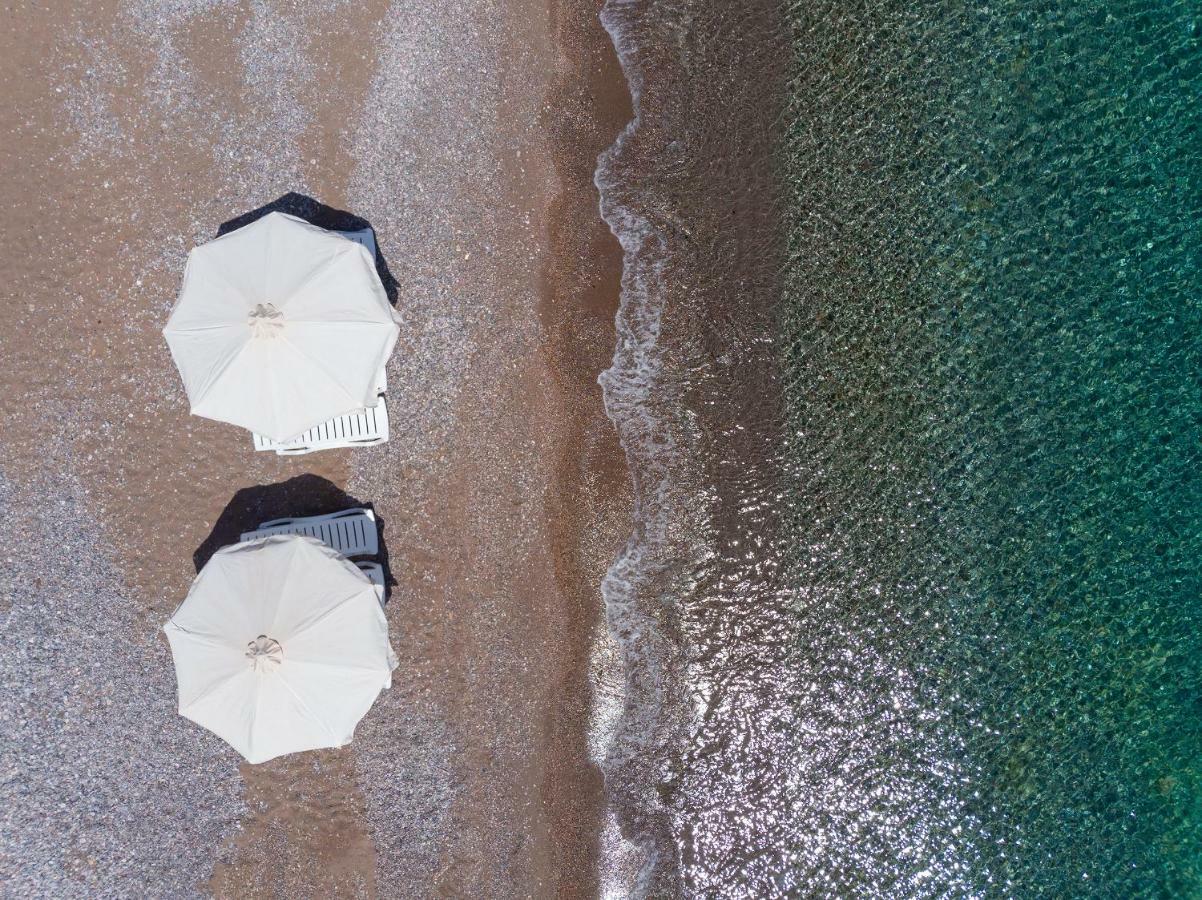 Sea View Luxury House